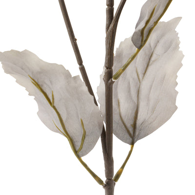 Art Flower Bougainvillea Navy