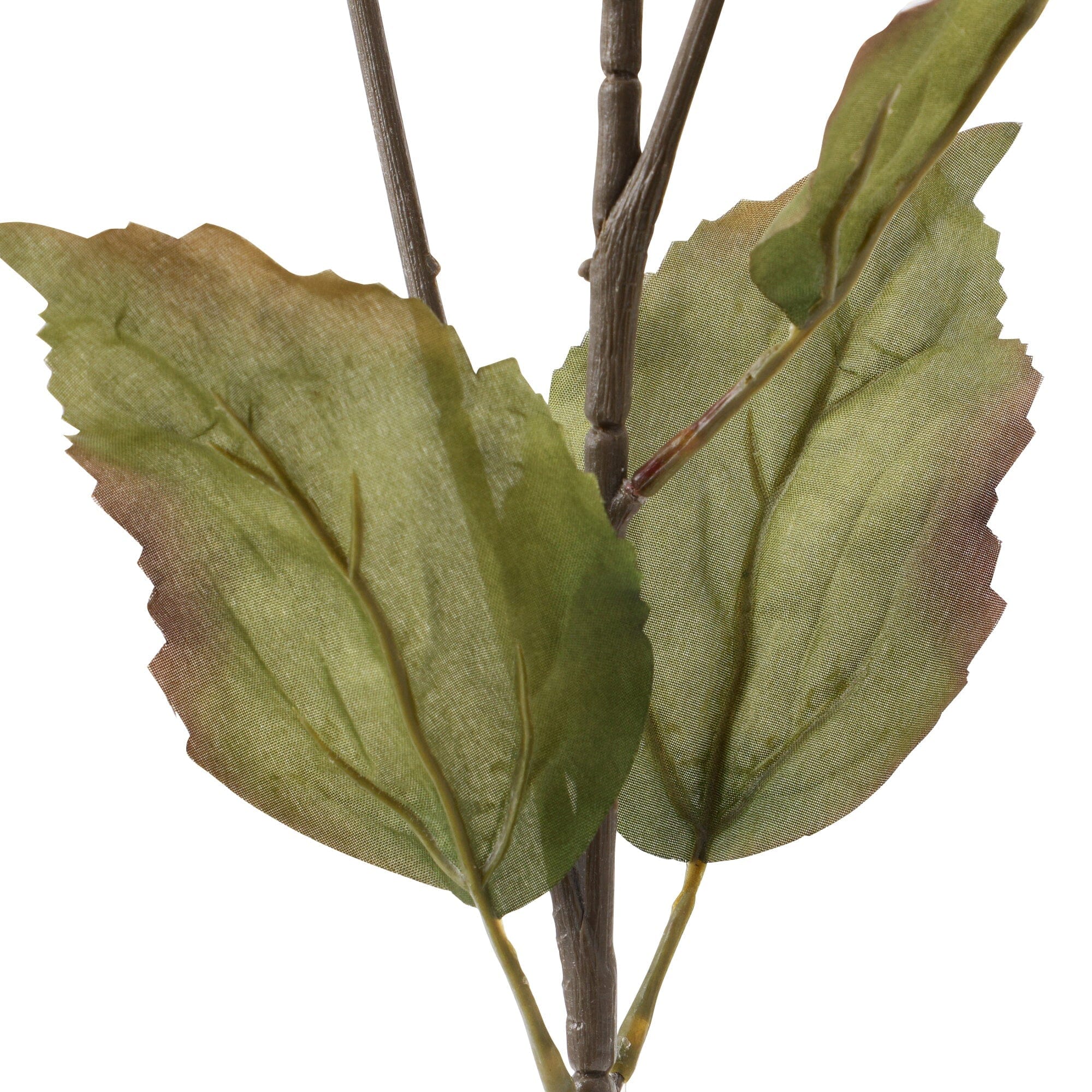 Art Flower Bougainvillea Light Purple