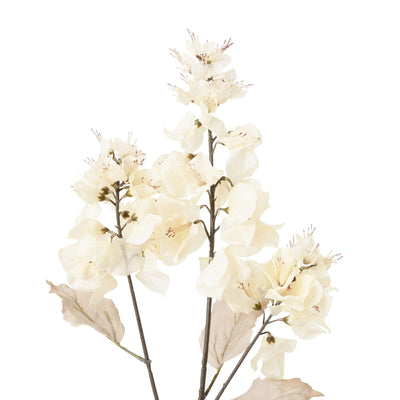 Art Flower Bougainvillea White