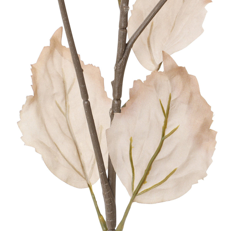 Art Flower Bougainvillea Orange