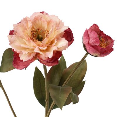 Art Flower Peony Small Pink