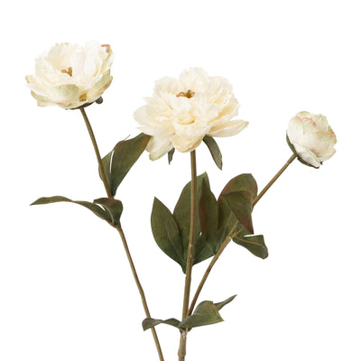 Art Flower Peony Small White