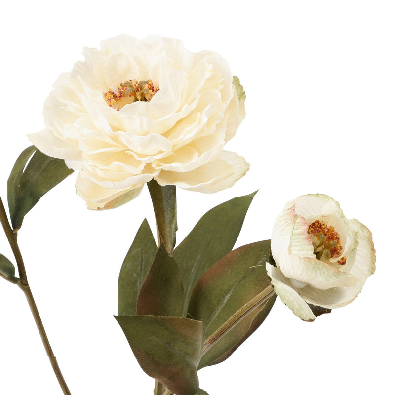 Art Flower Peony Small White