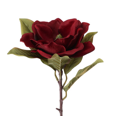 Art Flower Magnolia Red