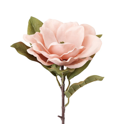 Art Flower Magnolia Light Pink