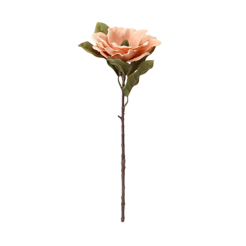 Art Flower Magnolia Coral