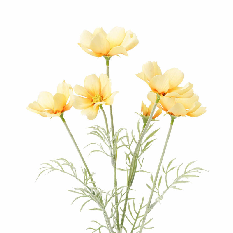 Art Flower Cosmos Light Yellow