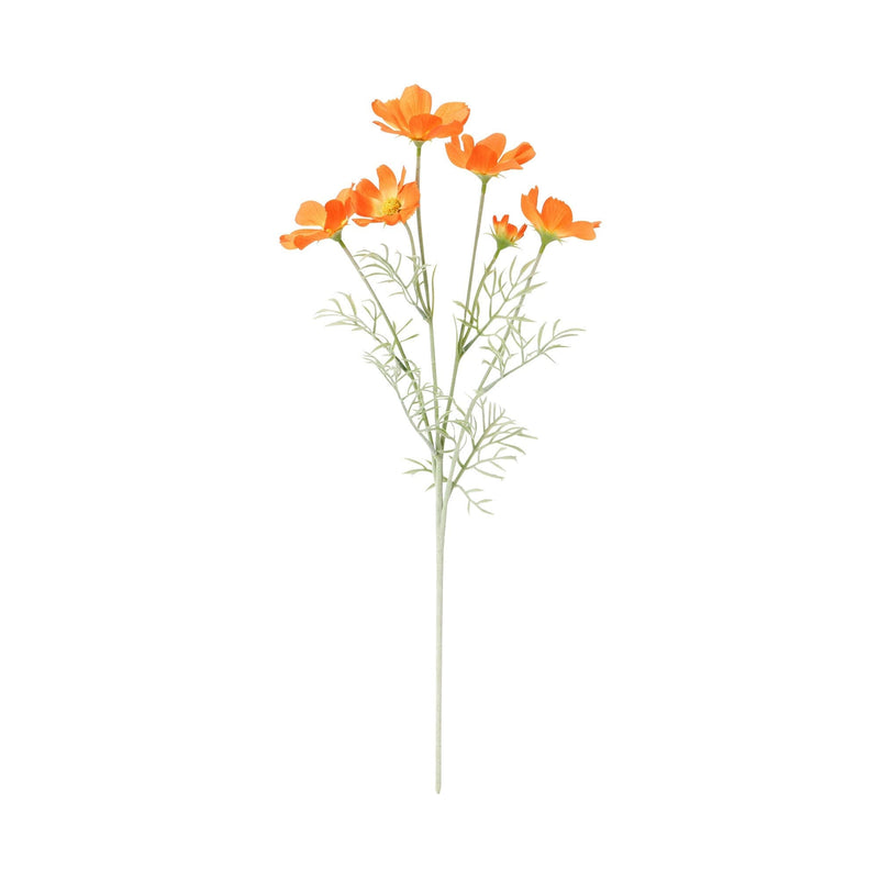 Art Flower Cosmos Orange