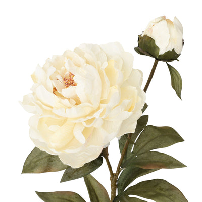 Art Flower Peony Medium White