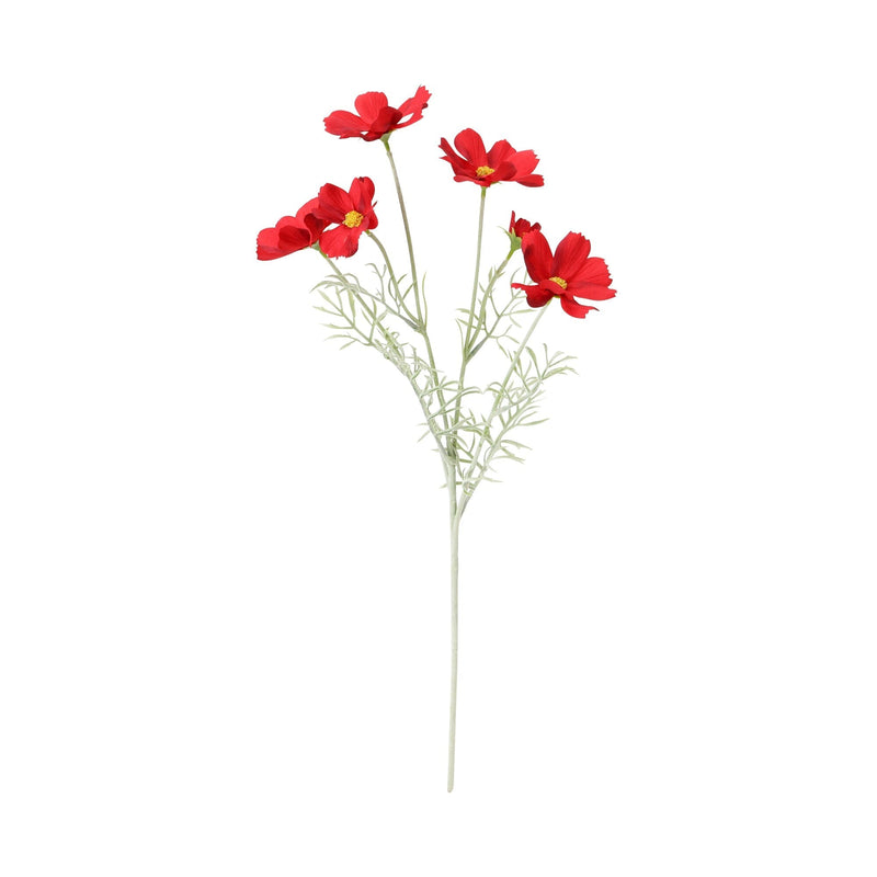 Art Flower Cosmos Red