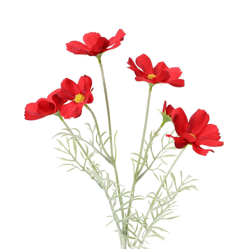 Art Flower Cosmos Red