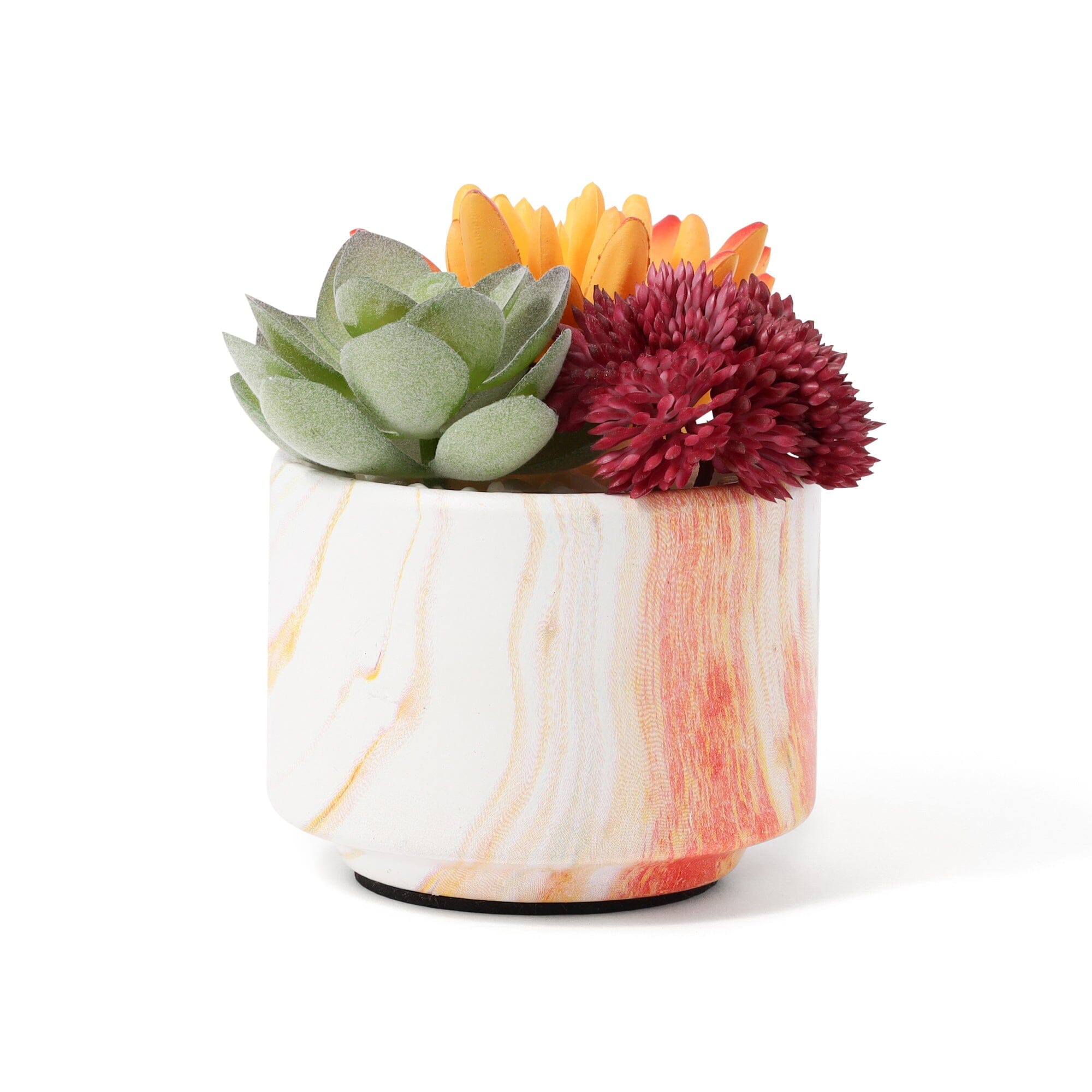 Art Green & Pot Succulent  Orange