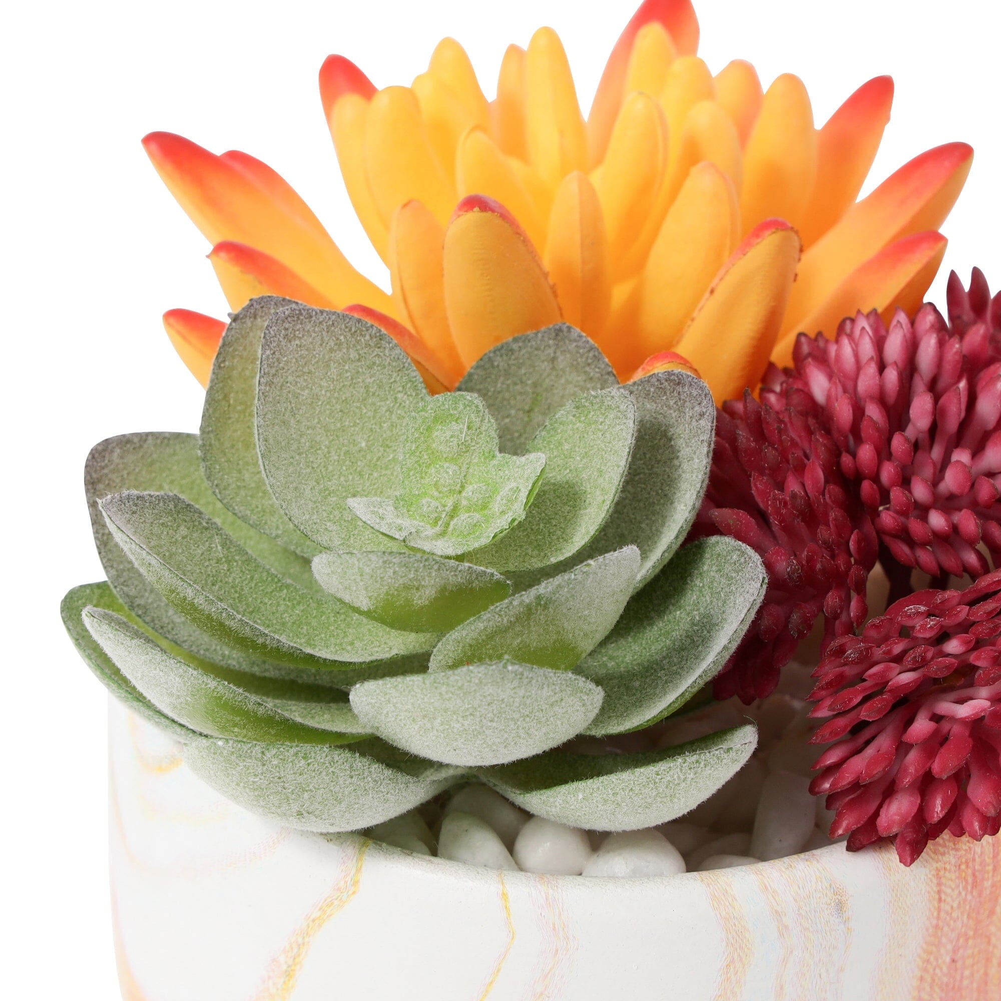 Art Green & Pot Succulent  Orange
