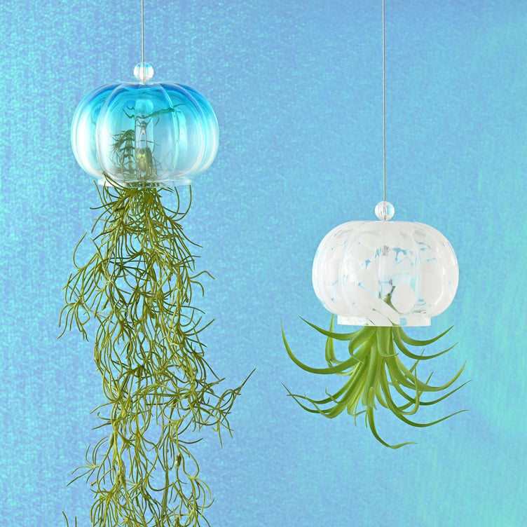 Art Green Jellyfish Blue