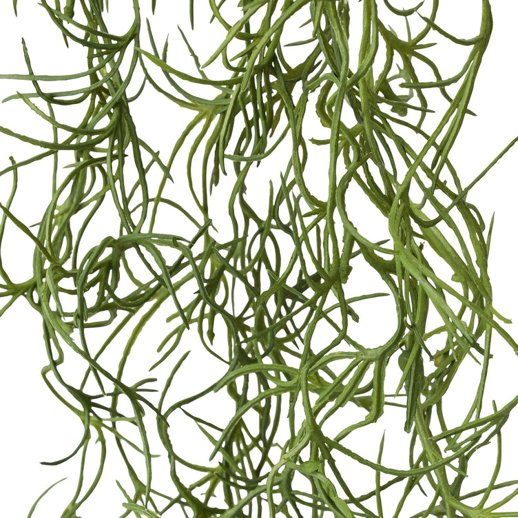 Art Green Jellyfish Blue