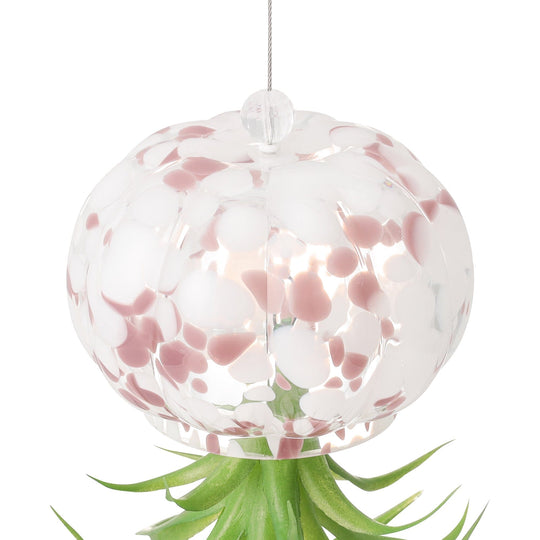 Art Green Jellyfish Pink
