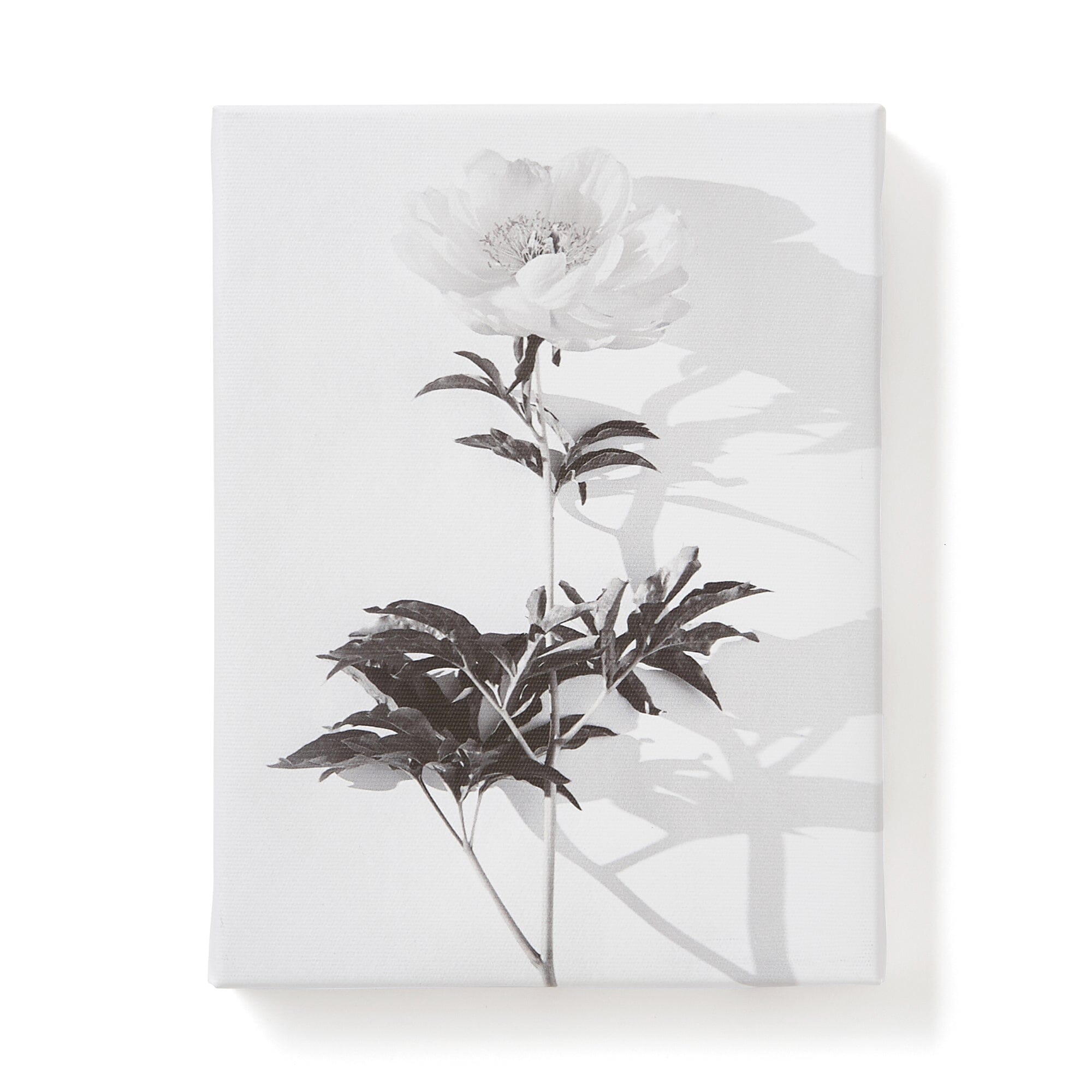 Art Board Set Of 5 Flower