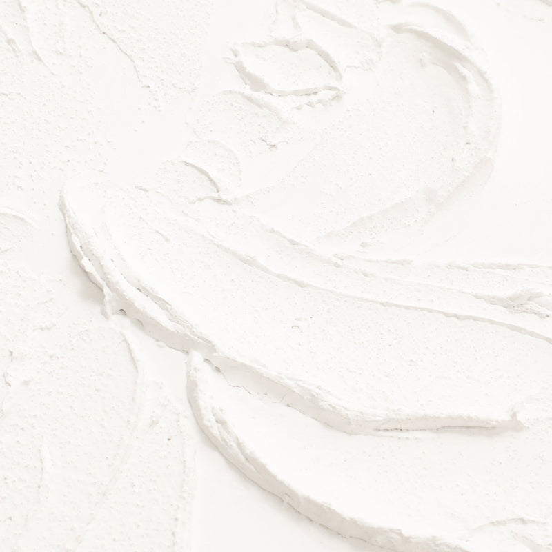 白色半立體植物掛畫 B