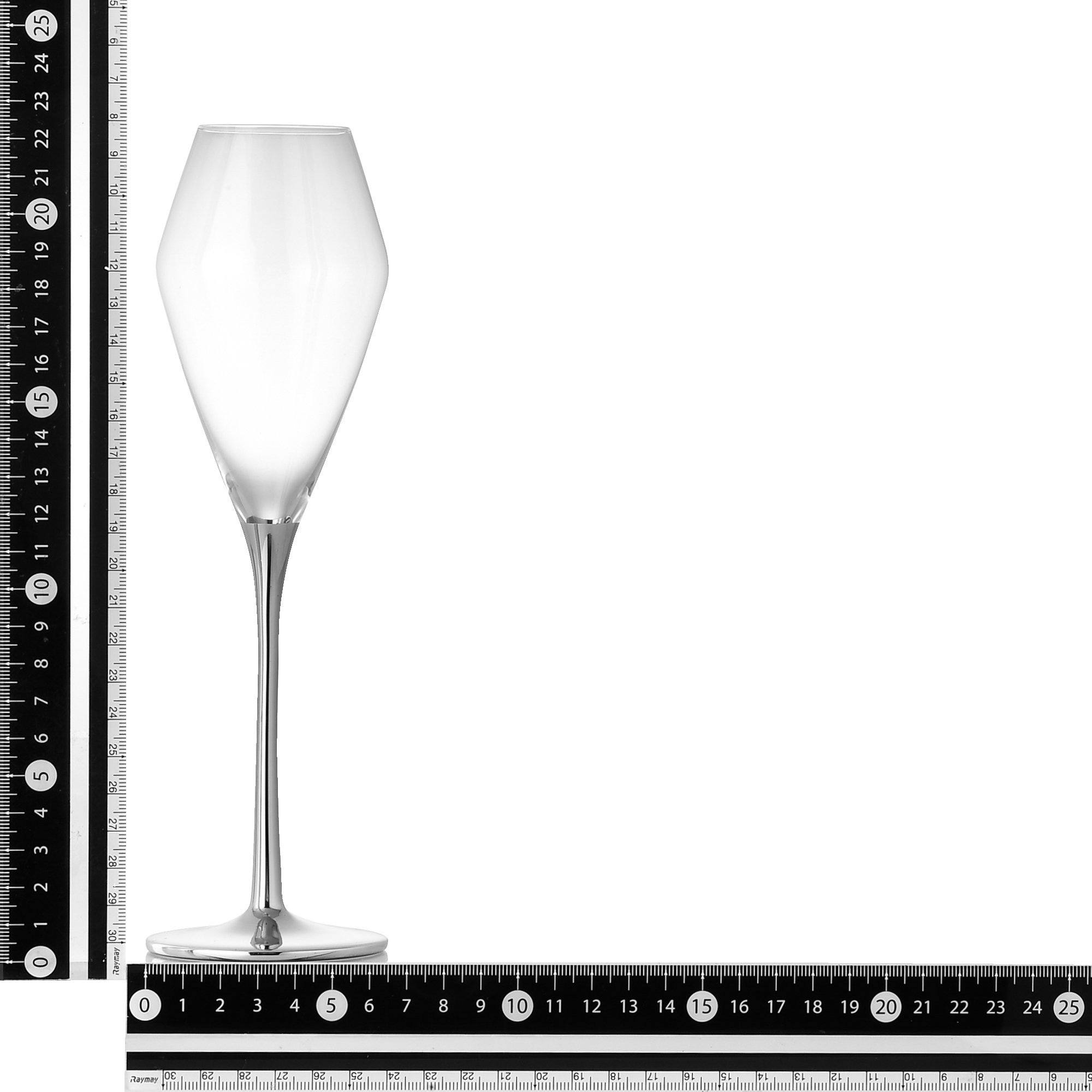 SHEEN CHAMPAGNE GLASS Silver