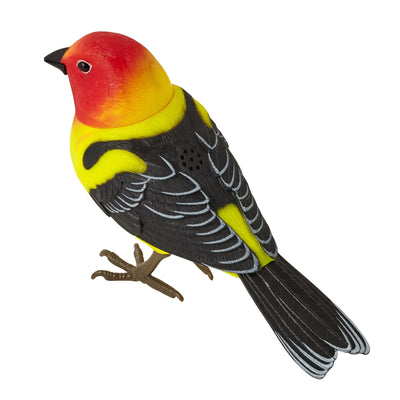 MOTION DETECTOR Music Bird Yellow