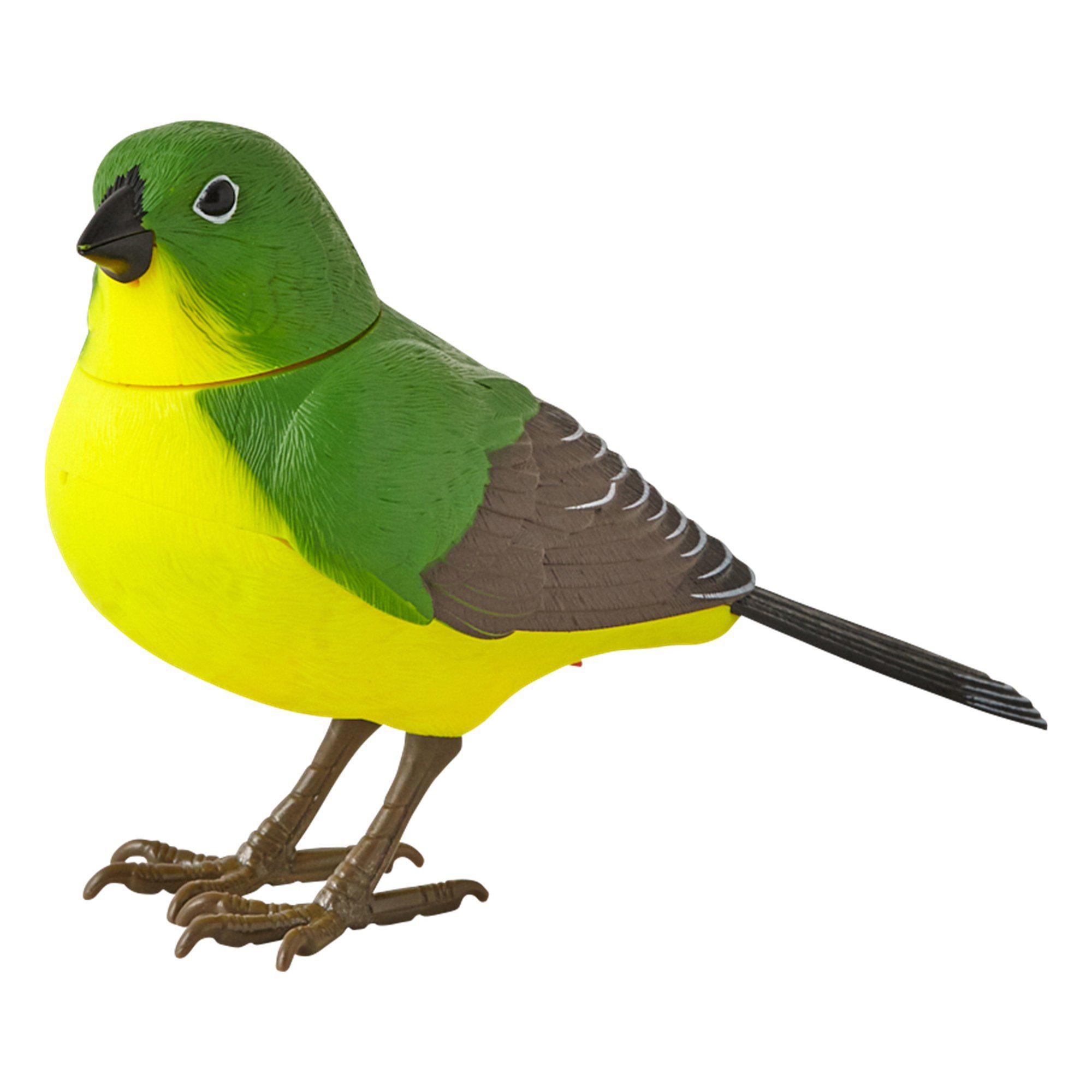 MOTION DETECTOR Music Bird Green