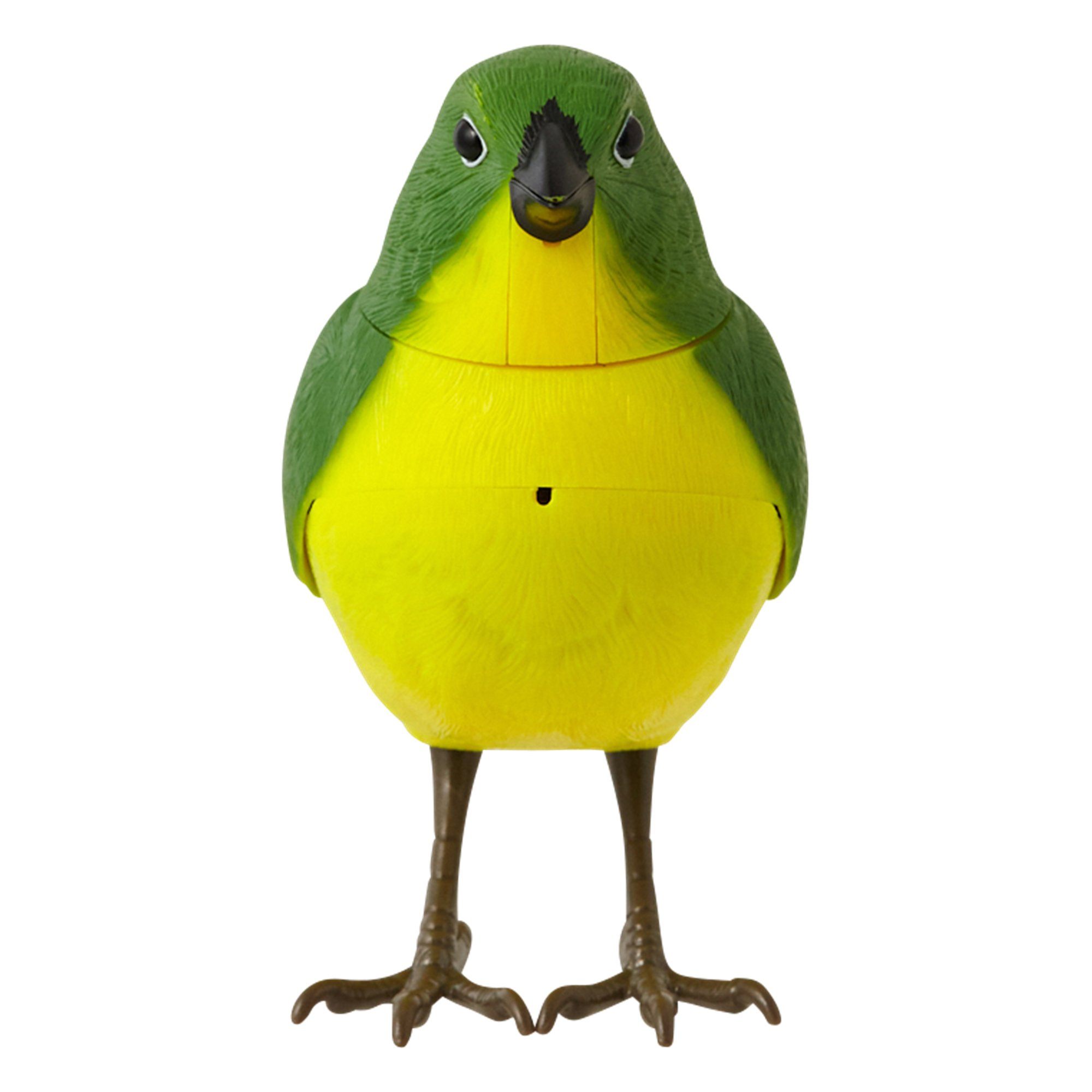 MOTION DETECTOR Music Bird Green