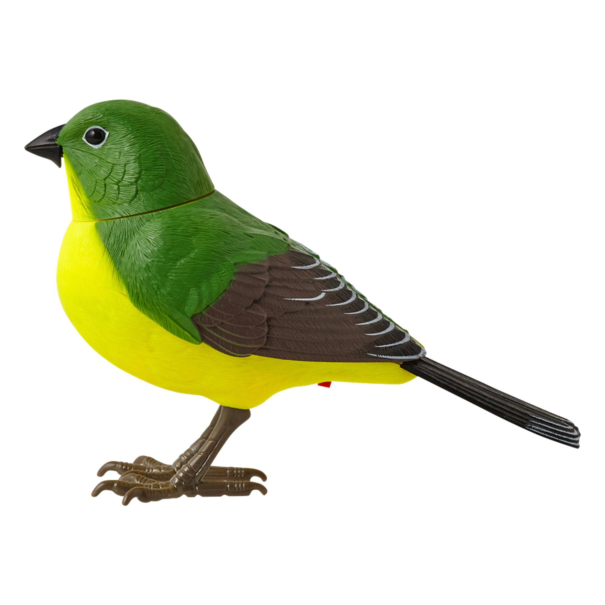 MOTION DETECTOR Music Bird Green