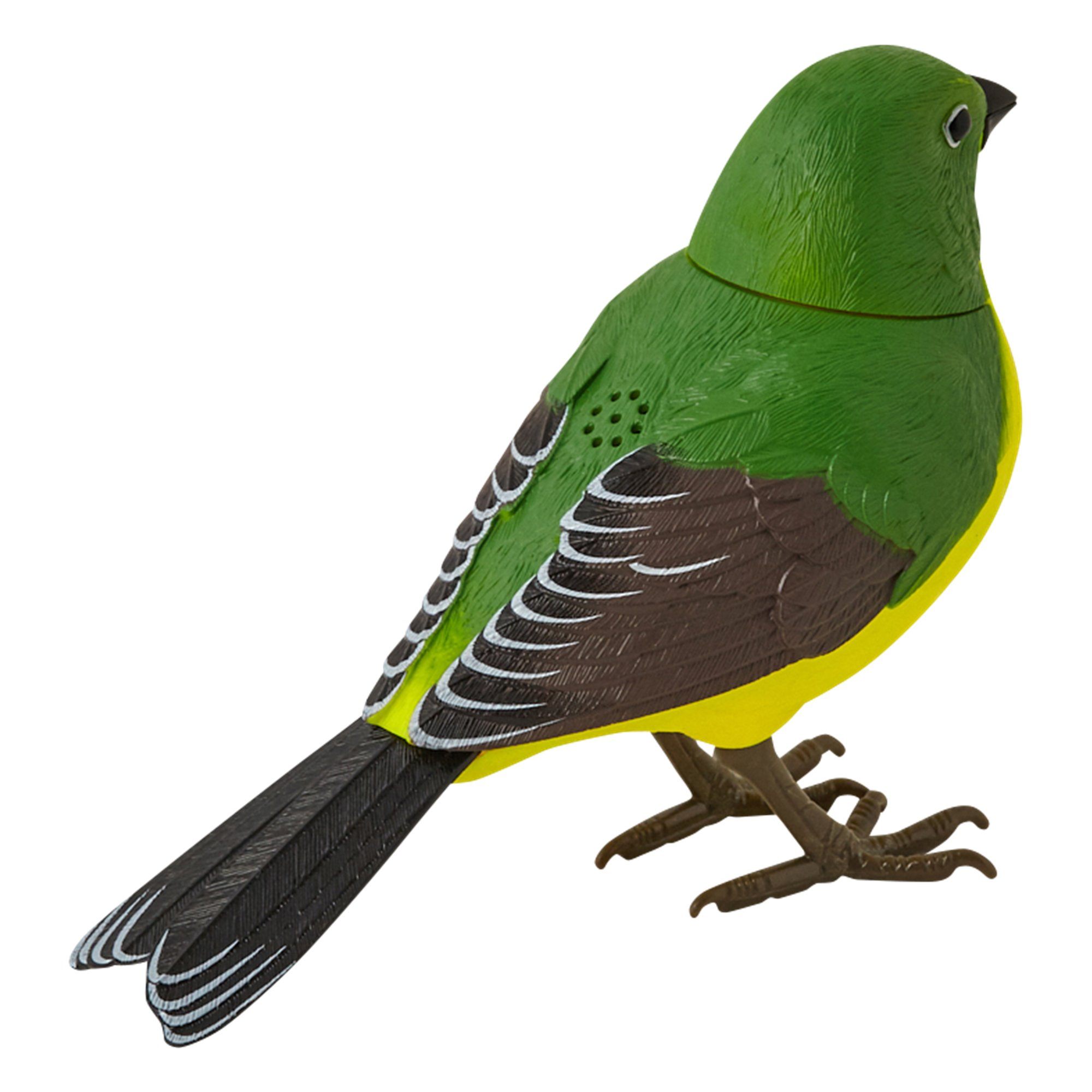MOTION DETECTOR Music Bird Green