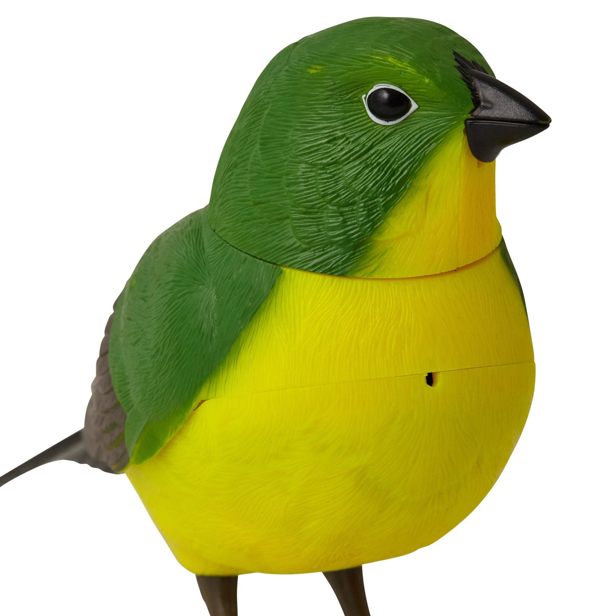 MOTION DETECTOR Music Bird Green