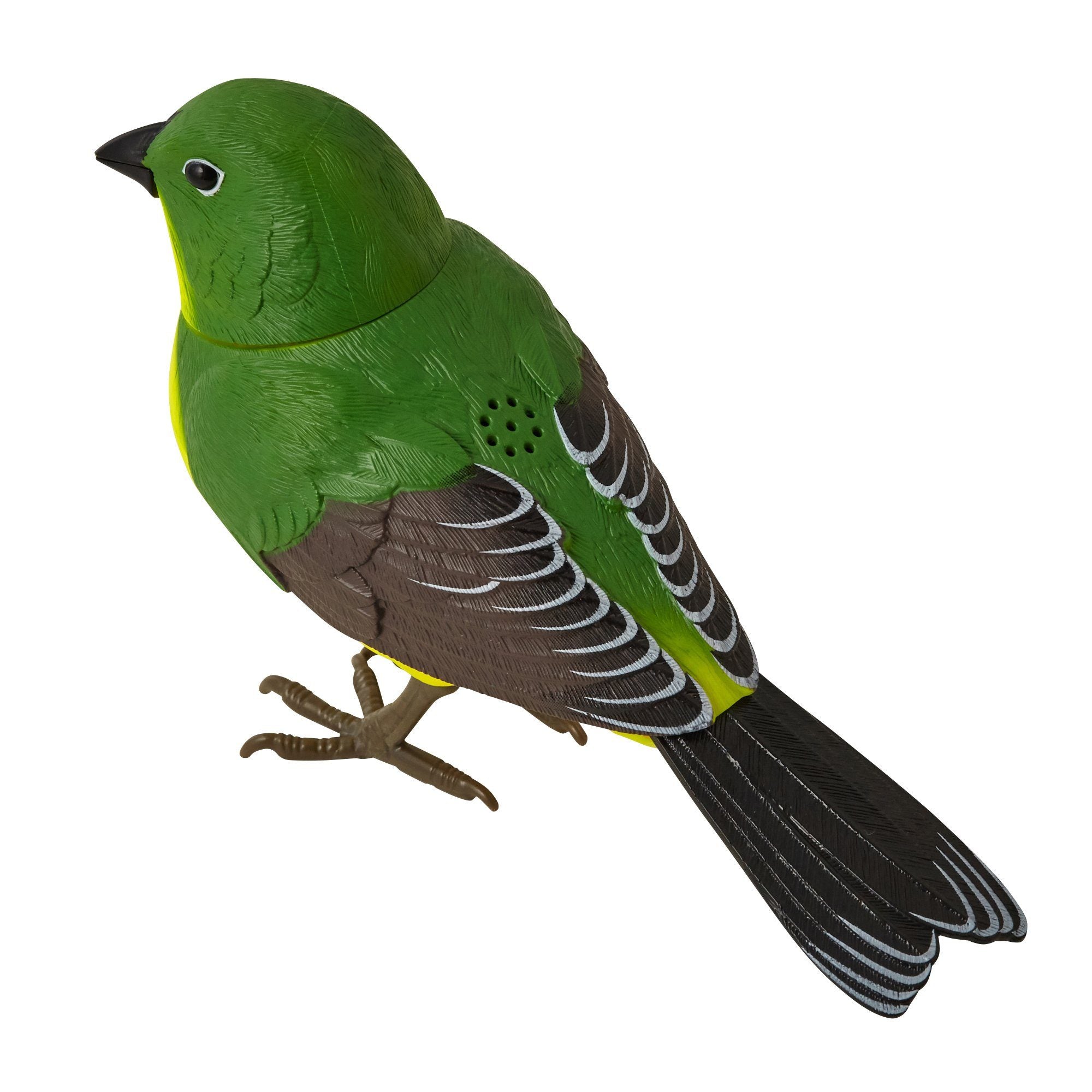 MOTION DETECTOR Music Bird Green