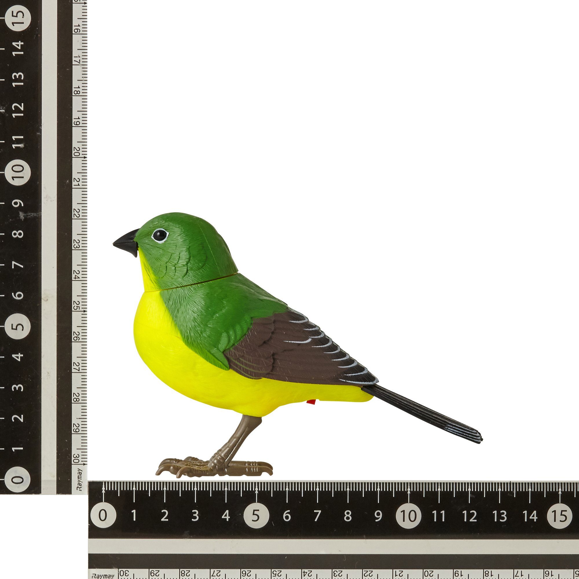 MOTION DETECTOR Music Bird Green