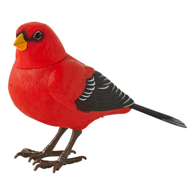 MOTION DETECTOR MUSIC BIRD RED