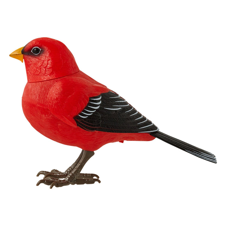 MOTION DETECTOR MUSIC BIRD RED