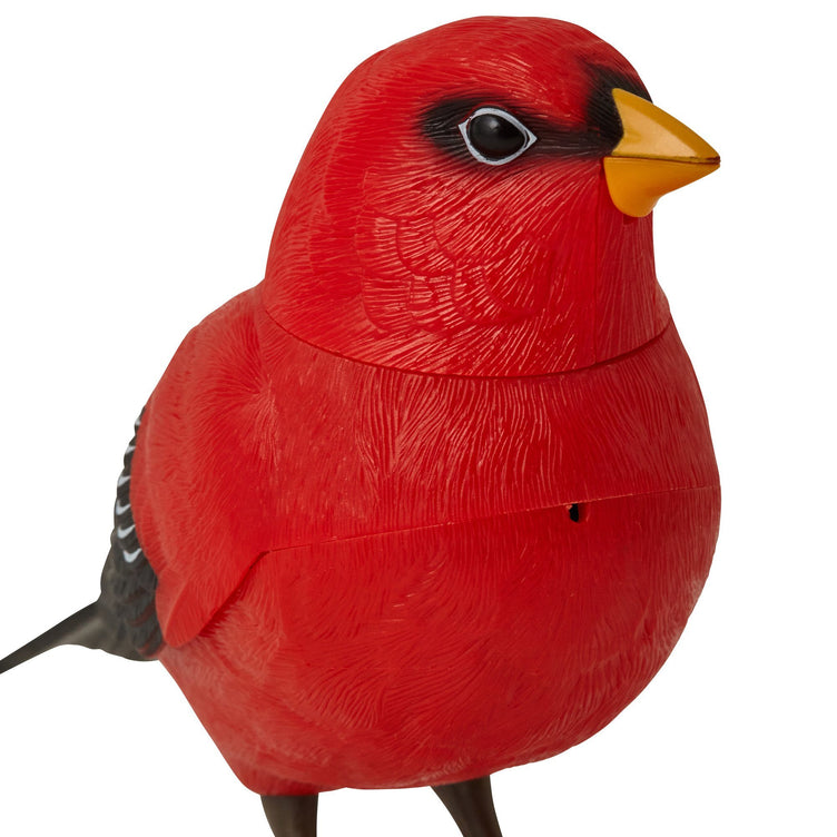 MOTION DETECTOR MUSIC BIRD RED