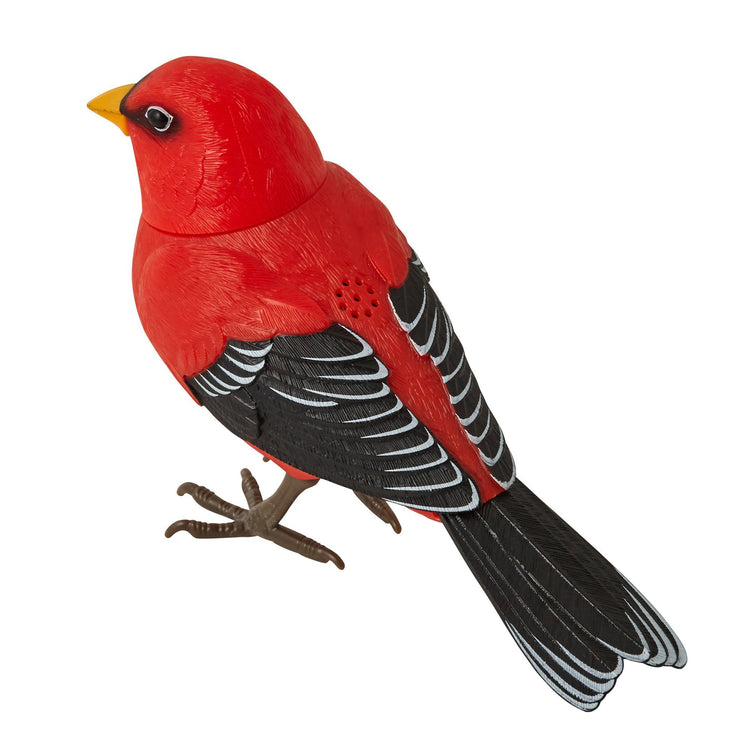 MOTION DETECTOR MUSIC BIRD RED