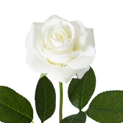ART FLOWER REAL TOUCH ROSE  S WHITE