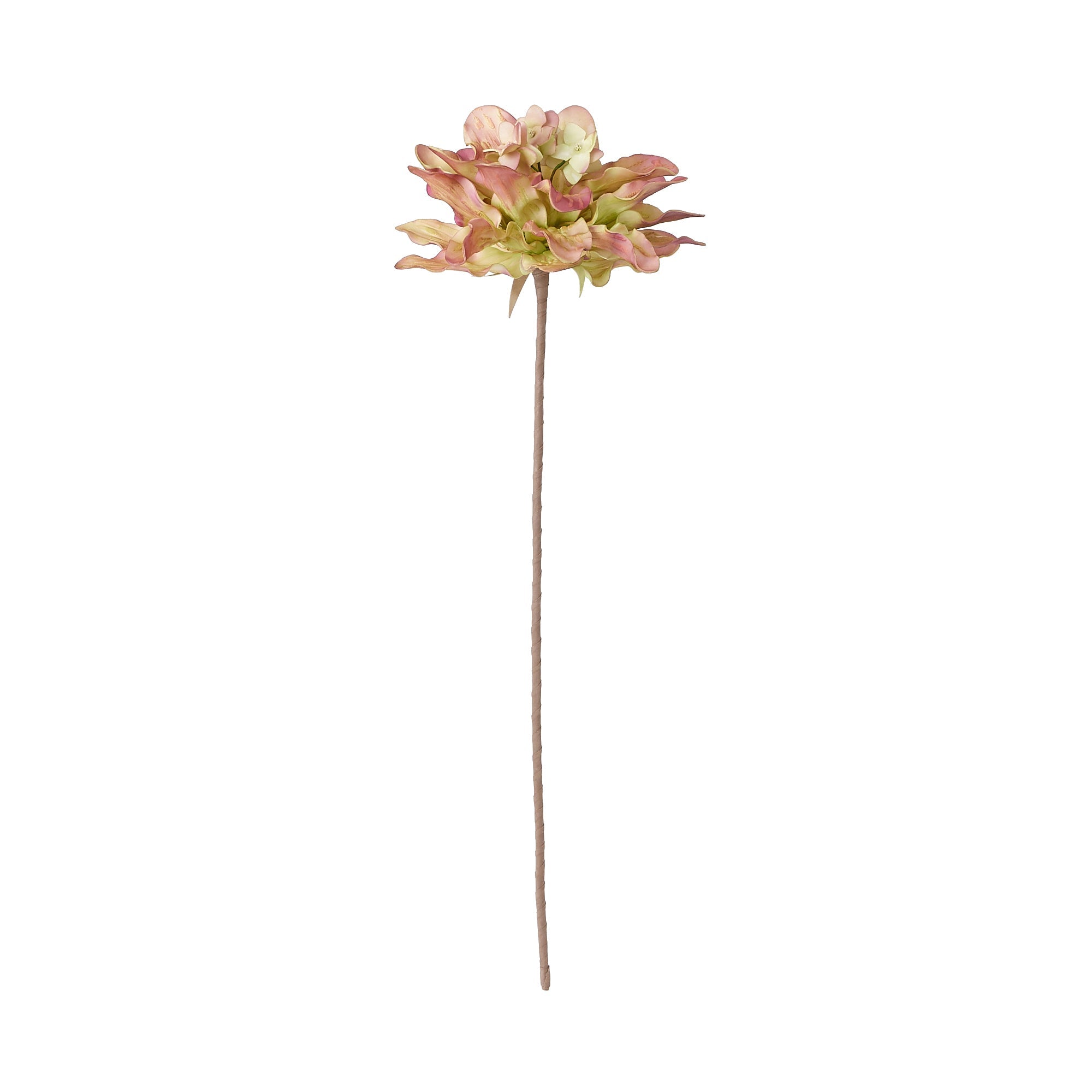 22AW ARTPLANT FLOWER  RED